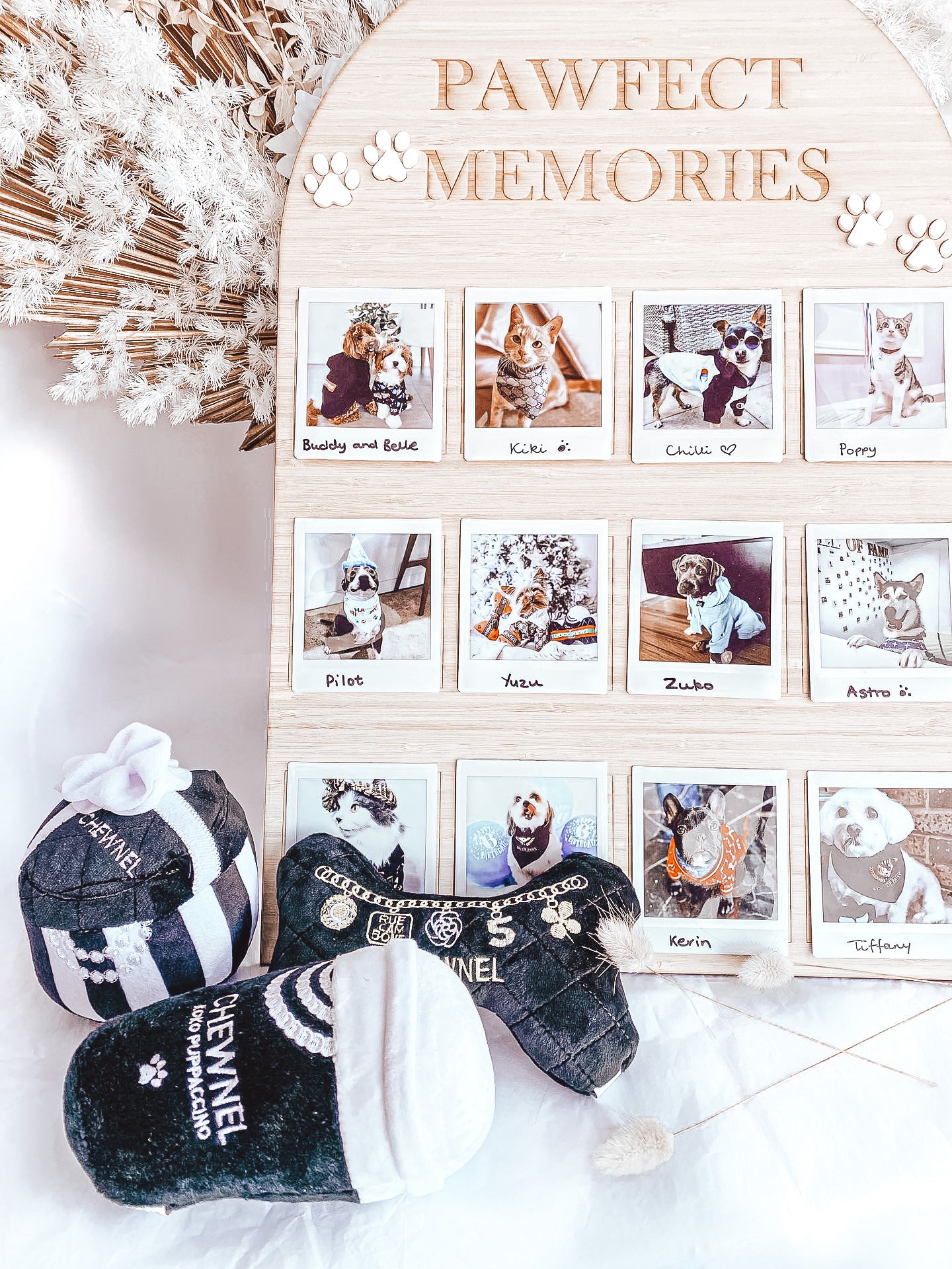 Pawfect Memories